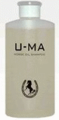 �摜�Ȃ�